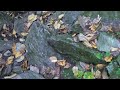 2015 10 17 tucquan footpath walker's pov  Clip #1