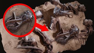 10 Mysterious Recent Archaeological Discoveries