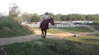 M4H04702.MP4