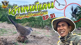 ต่อนกเขาใหญ่ | เจ้ามนต์แคน | เกือบเสียนกตัวรัก  EP.51