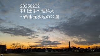 20250222 朝ジョグ 中川土手〜理科大〜西水元水辺の公園