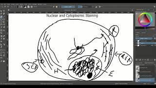 Histotutor Chapter 6 Nuclear and Cytoplasmic Staining