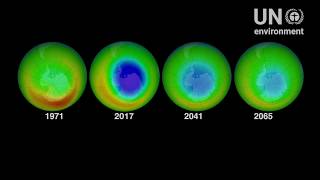 World Ozone Day 2019 - 32 years and healing