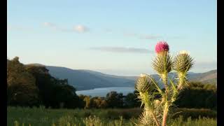 Braveheart theme instrumental to relaxing - A Gift of a Thistle 1h continuous
