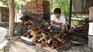 How to processing beeswax | How to harvesting beeswax