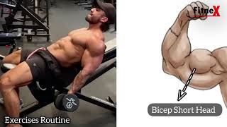 Bicep Exercises for Bigger Arms | Fitnex