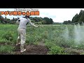 【野菜栽培】白ねぎ雨上りの病気と害虫対策 軟腐病とハモグリバエと液肥の説明21 8 23 146 薬剤散布 農薬散布 福ちゃん農園 九州