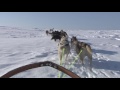 dog sledding with trasti og trine alta finnmark norway