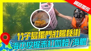 【柬埔寨】竹子島獨門壯陽秘術 海中挖掘赤紅血蛤、海膽｜《世界第一等》743集精華版 #世界該去哪