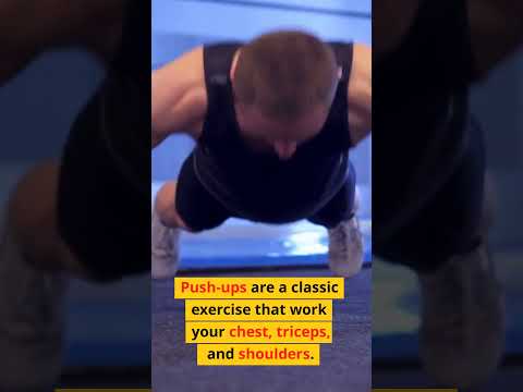 What's The Best Exercises For New Gym Goers? - YouTube