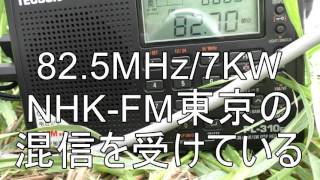 ラジオ沖縄（ROK）\u0026琉球放送（RBC）のFM中継局をＥｓで受信