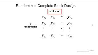 Randomized Complete Block Design