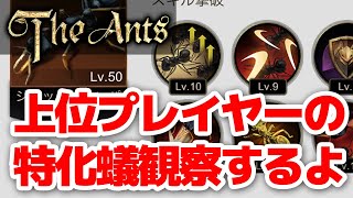 【ザ・アンツ】読み上げ解説・上位プレイヤーの特化蟻強化方法【The ants】