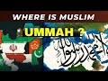 Why Muslim Ummah is No more | Nationalism and Sectarianism in Muslims