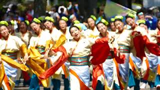 2018  原宿表参道元氣祭スーパーよさこい 「au」