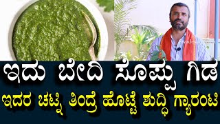 ಇದು ಬೇದಿ ಸೊಪ್ಪು ಗಿಡ | ಇದರ ಚಟ್ನಿ ತಿಂದ್ರೆ ಹೊಟ್ಟೆ ಶುದ್ದಿ ಗ್ಯಾರಂಟಿ | Stomach Clean Remedy | Halu soppu