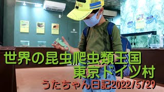 世界の昆虫爬虫類王国東京ドイツ村カメレオンとニジイロクワガタでおおよろこびうたちゃん日記生物20220529UTA1