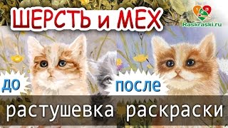 Шерсть и мех! 🎨Доработка и растушевка раскраски по номерам!