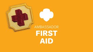 Ambassador First Aid Badge Workshop