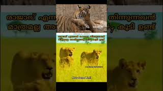 എല്ലാവരും ഒരു പോലെ അല്ല കണ്ണിൽ കാണുമ്പോയെ എല്ലാവരും വില അറിയൂ 🥹😌#sad #love #fadwas kitchen