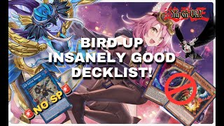 BIRD-UP Decklist + combo  *NIBIRU PROOF COMBO*  [1st place 4-0]