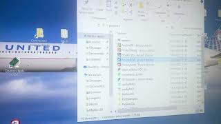 Prosim 737 execute problem