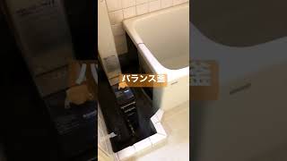 埼玉県K市U町空き家物件の突撃レポート③バランス釜て知ってる？素敵な思い出いっぱいの物件を見て回ります！～40代会社員の空き家再生をすべて公開 #shorts #不動産投資 #戸建て #空き家 #廃墟