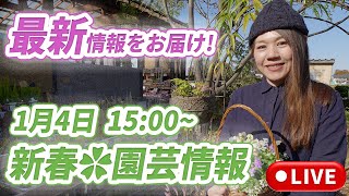 初売り直前ライブ！15:00〜