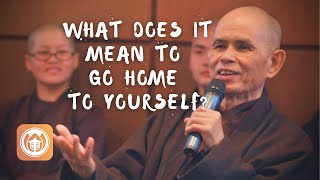 What does it mean to go home to yourself? | Thich Nhat Hanh answers questions