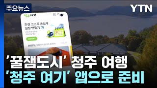 '꿀잼도시' 청주 여행...'청주 여기' 앱으로 준비 끝 / YTN