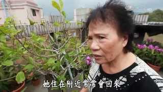 【草根菩提】20151201 - 心花開在八十一