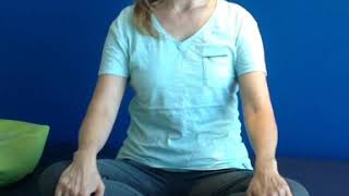 Introduction to back pain exercises by physiotherapist Fariba