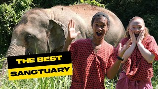 Visiting Chiang Mai ELEPHANT SANCTUARY🐘 / Land of Angels / Renting a Scooter / Monk Ceremony