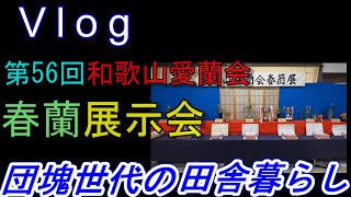 03-18　【第100回】 第56回和歌山愛蘭会・春蘭展示会が開催されました。