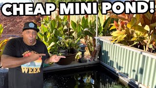 SUPER CHEAP MINI POND EASY TO ASSEMBLE LOOKS GREAT!