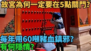 故宮為何一定要在5點關門？每年用60噸豬血鎮邪？有何隱情？【丹看世界】#歷史 #歷史故事 #歷史人物 #史話館 #歷史萬花鏡 #奇聞 #歷史風雲天下