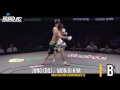 top 30 knockouts mma 2015