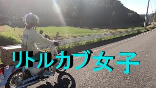 リトルカブがほしくなる動画#4