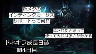 【LOL・SUP】新メタのインティングカーサスサポートがマジで強すぎる‼