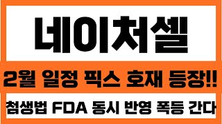 [네이처셀 주가분석]2월 일정 픽스 호재 일정 정리! 첨생법 FDA 동시 반영 폭등 가는 이유!!#네이처셀주가전망 #천프로