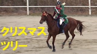 障害馬術「クリスマスツリー」2022水口Xmasホースショー　70cm