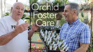 Orchid Foster Care