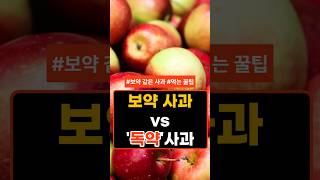 사과! 건강에 좋은 사과 vs 독이 될 수 있는 사과! #지식 #이슈 #음식