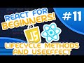 React for Beginners #11 - Lifecycle Methods & useEffect