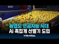 농업도 인공지능 시대...'정확도 99%' 족집게 선별기 주목 | 과학뉴스 24.01.18