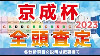 京成杯（2023）　＞　全頭査定（能力ランク＋父系ランク＋牝系ランクの3項目を集計）