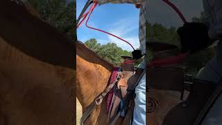 Thumbs up! 👍 👍👍 #ranchlife #ranchroping #cowboy #ranch #horse