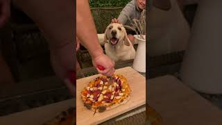 We made the Best Pizza! #shorts