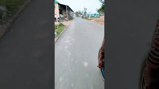 গ্রামের মেঠো পথ। village road