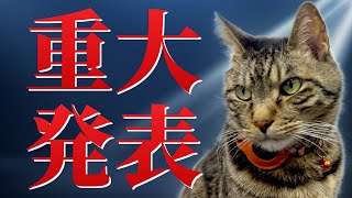 チャンネル登録者15万人達成ありがとうライブ！そして重大発表があります！